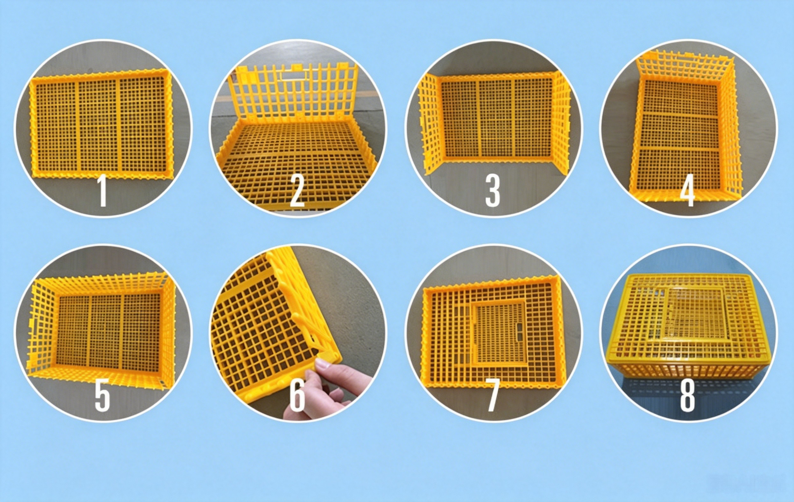 Chicken Transport Crates Quail Transport Box Crate Poultry Farm Equipment Quail Cages Plastic Training Box Transport Cage