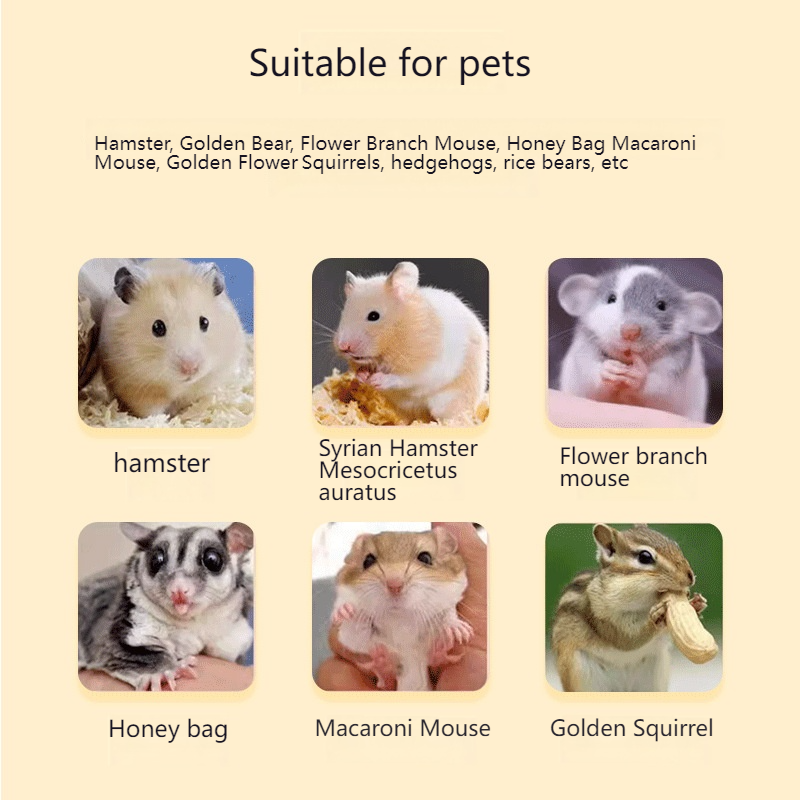 Luxury Desktop Hamster Cage with Warm Ventilation Design Durable Plastic Tray Easy Assembly Pallet Type Single Cage
