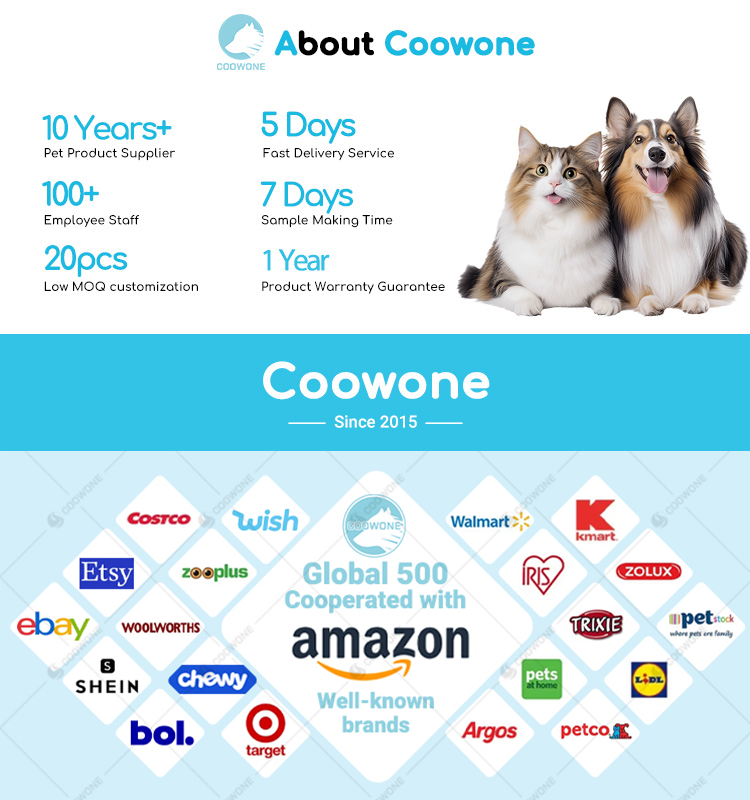 Company Profile Details