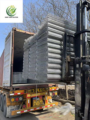 Container shipping loading 2
