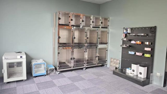 Foshan Brisk Pet factory floor – professional pet cage manufacturing facility in Foshan China
