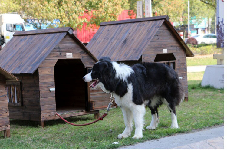 Luxury Modern All-Season Large Dog Shelter Rainproof Outdoor Wood Kennel Button Closure Solid Animal Design Dog House Cage OEM