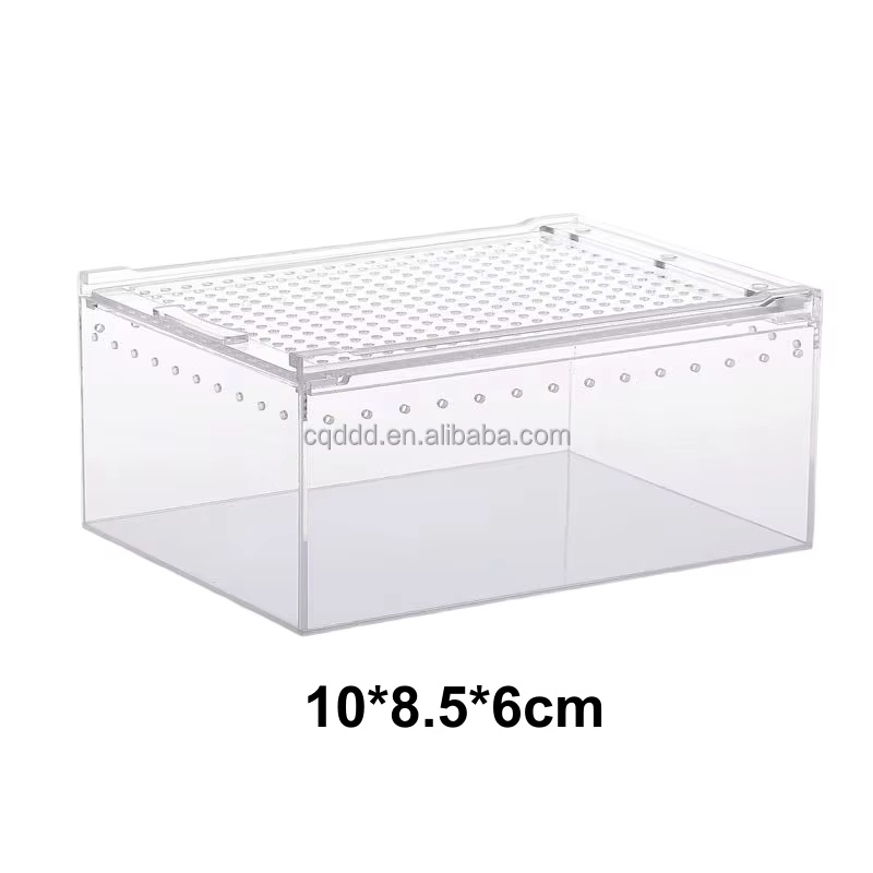 Reptile breeding box side view