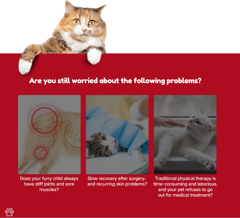 Pet Crate Red Light Therapy Details