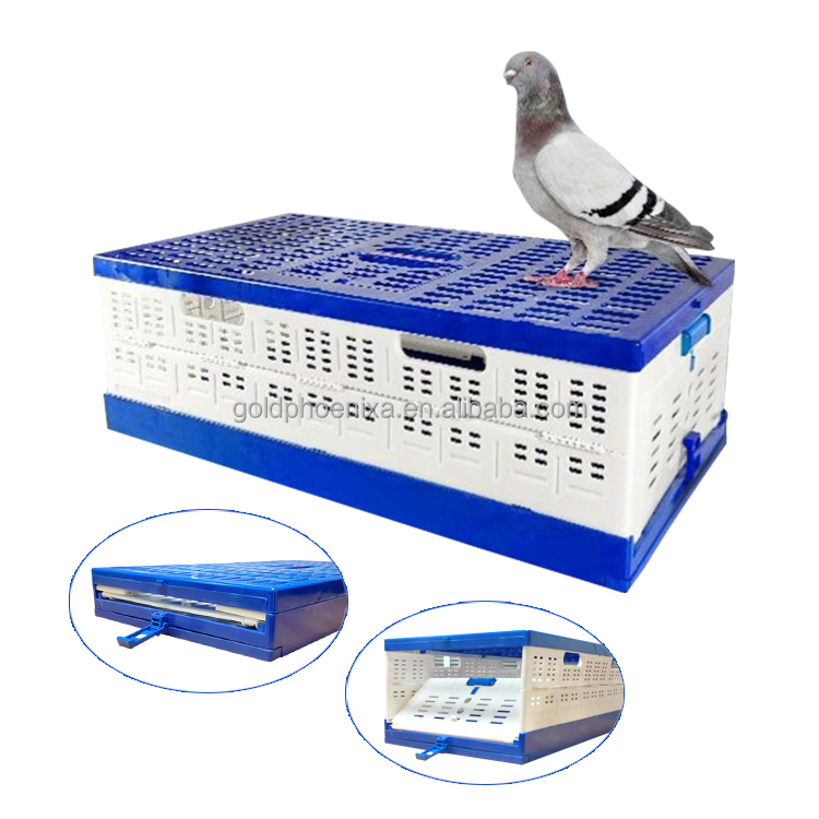QA Portable Pigeon Transport Crate Foldable Racing Pigeon Cage Training Box for Pigeon