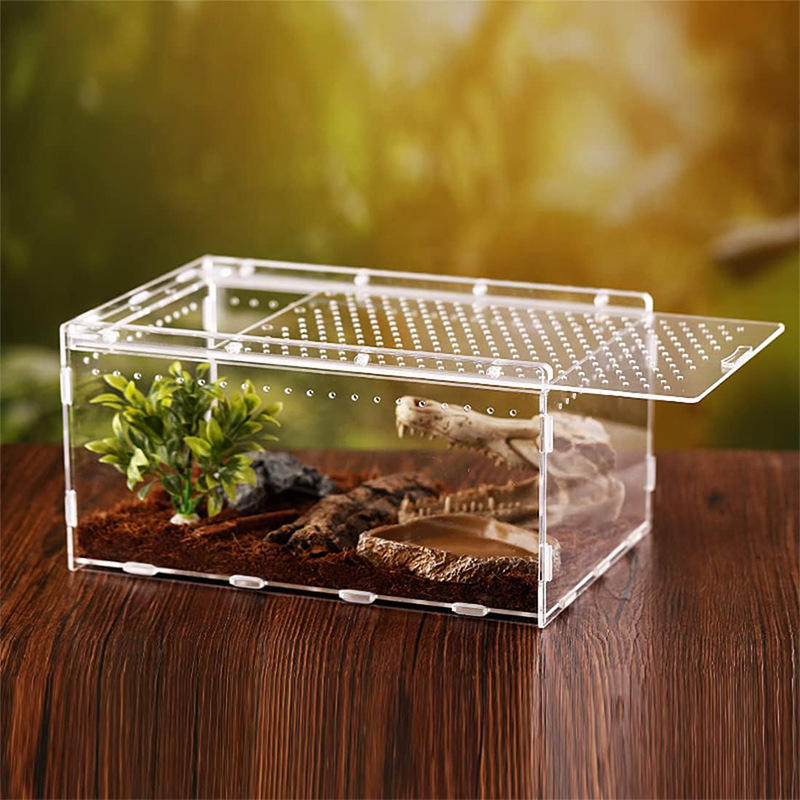 Clear Acrylic Reptile Breeding Box with Removable Lid and Ventilation Holes, Transparent Pet Insect Spider Enclosure