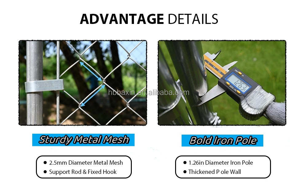 Frame Details