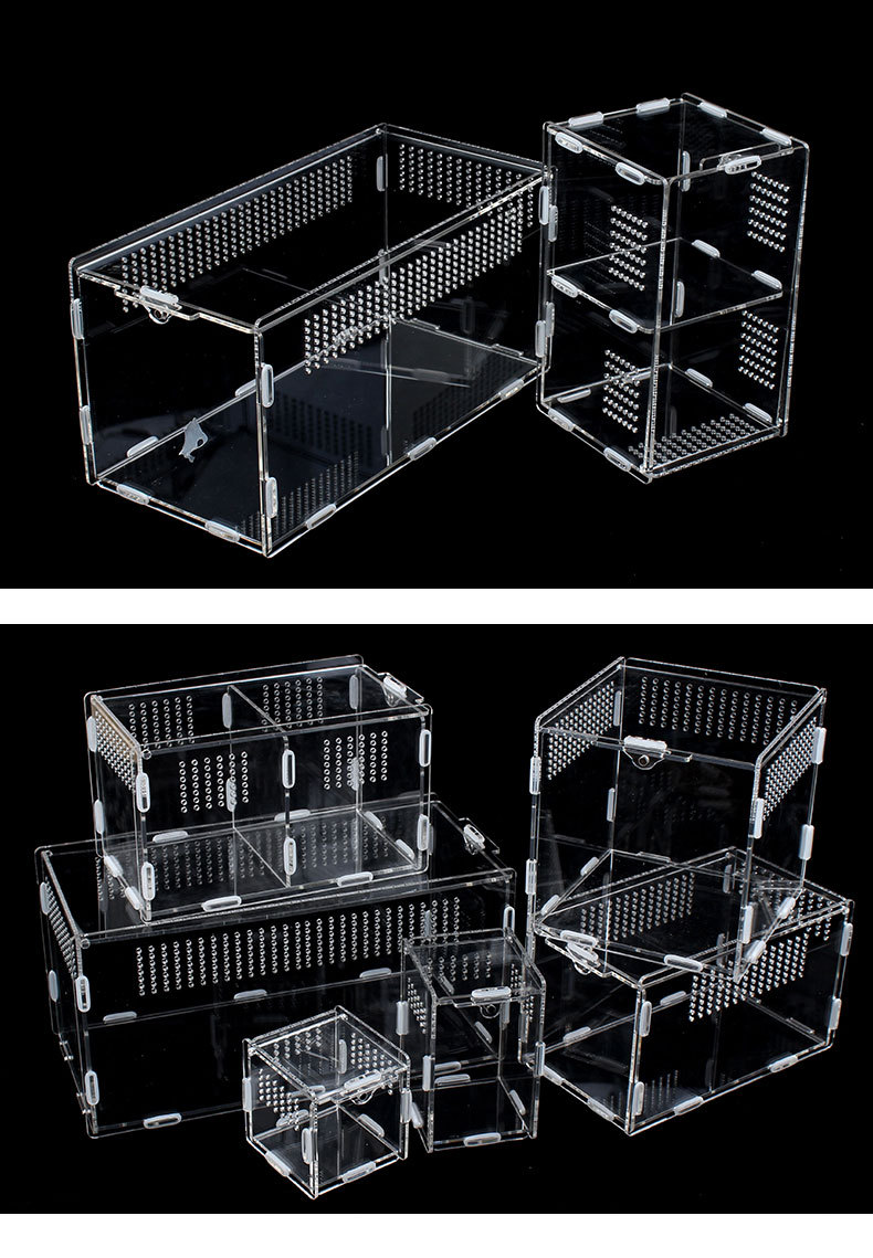 Transparent Acrylic Reptile Enclosure Small Reptile Pet Insect Feeding Box