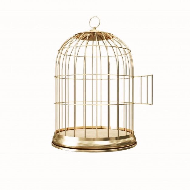 Bird Cage Design 3