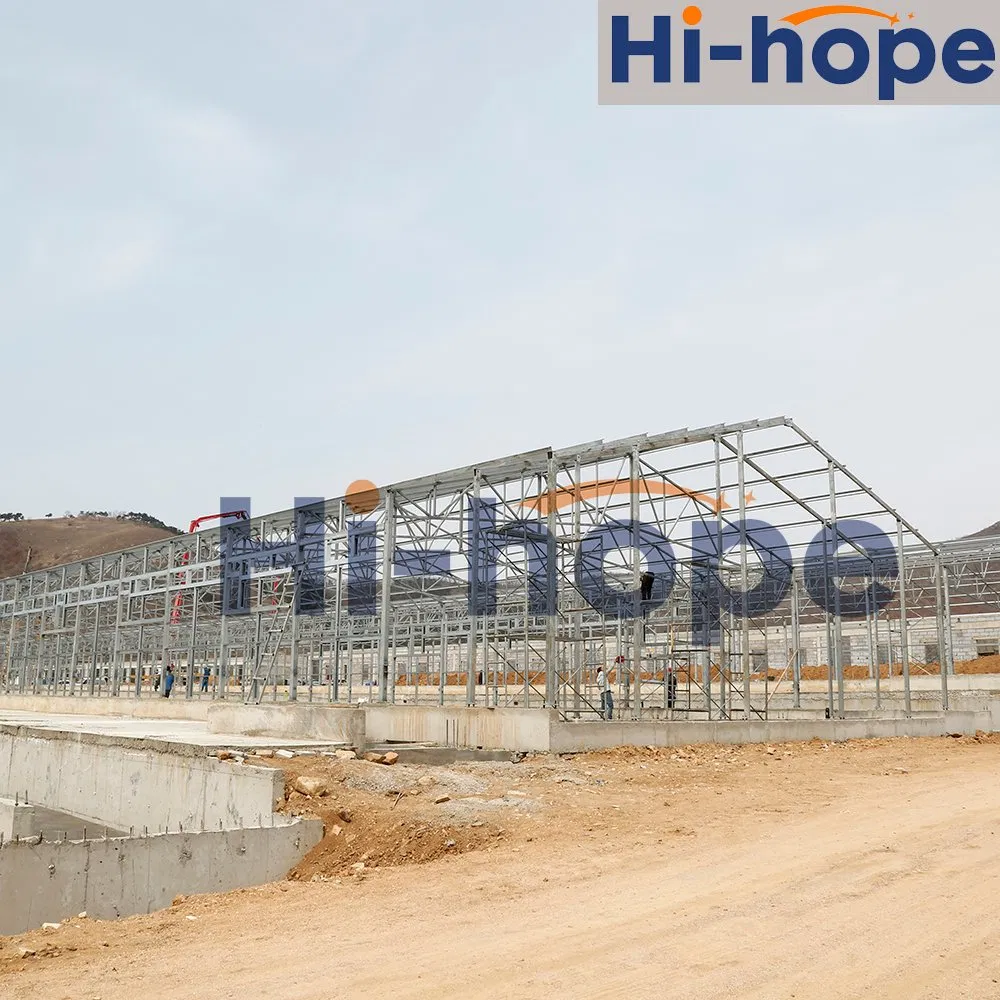 Durable Steel Structure Poultry House Building with Prefabricated Roofing Panels Ventilation Cooling and Heating Systems