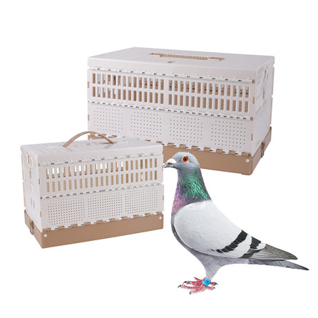 Portable Pigeon Cage Design