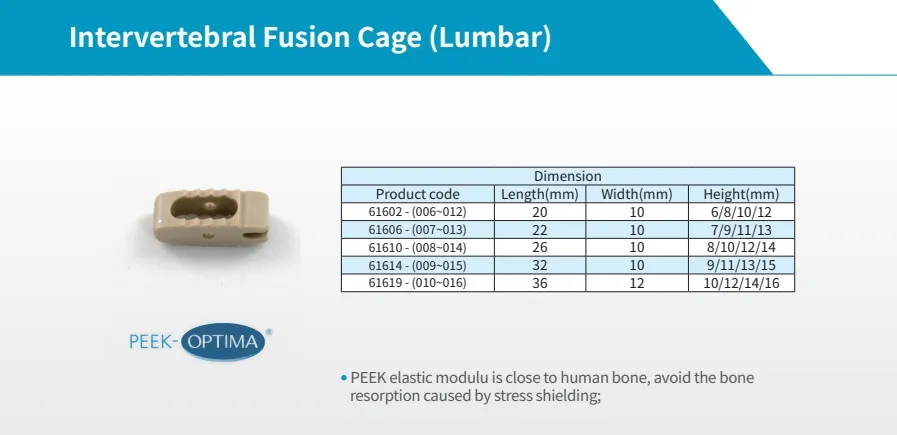 Surgical Instrument Orthopedic Implant Titanium Coating Bullet Lumbar Peek Interbody Fusion Cage Spine System
