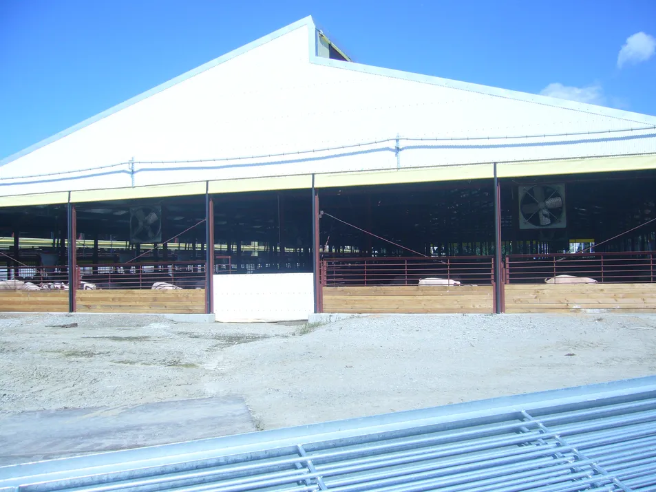 Steel Pig Barns Modular Housing Systems Quick-Install Poultry Farm Buildings Lightweight Structure