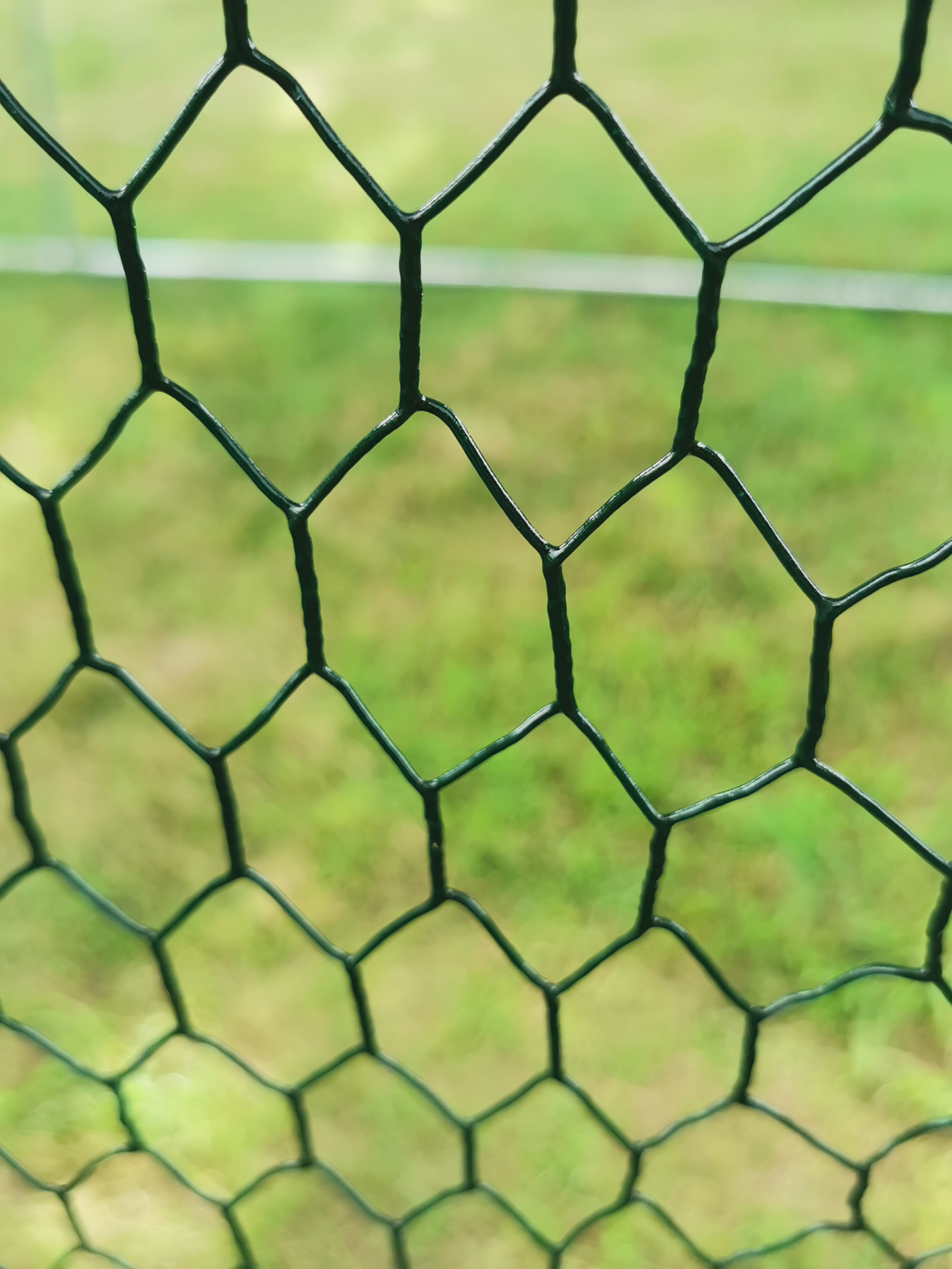 Metal Poultry Cage Detail 5