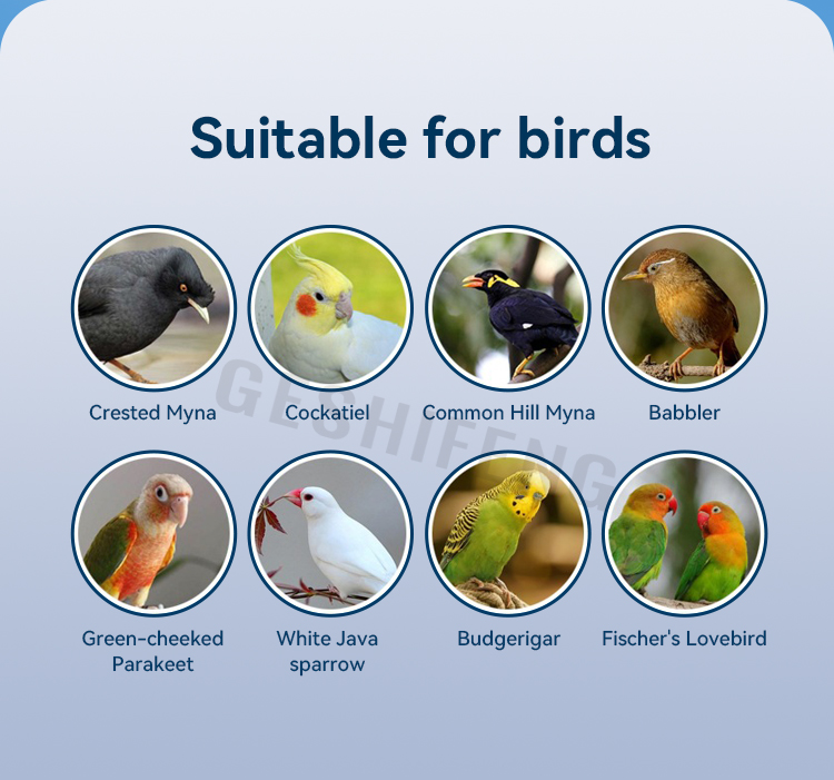Bird cage details 2