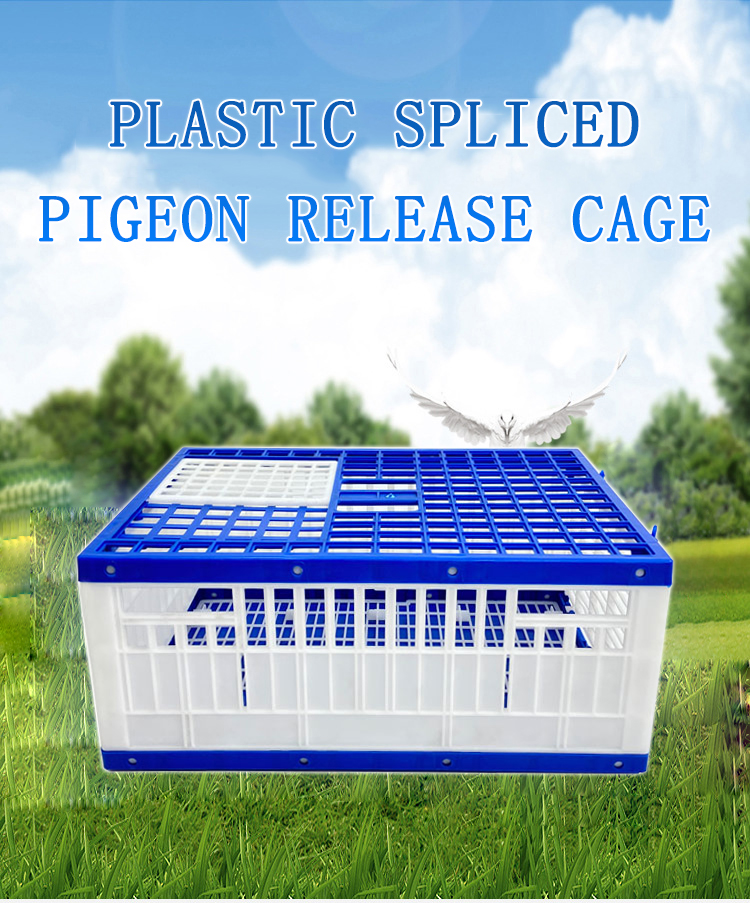 Wholesale Customizable Plastic Pigeon Cage, Stackable Breeding Box for Pigeons, Easy Clean Design