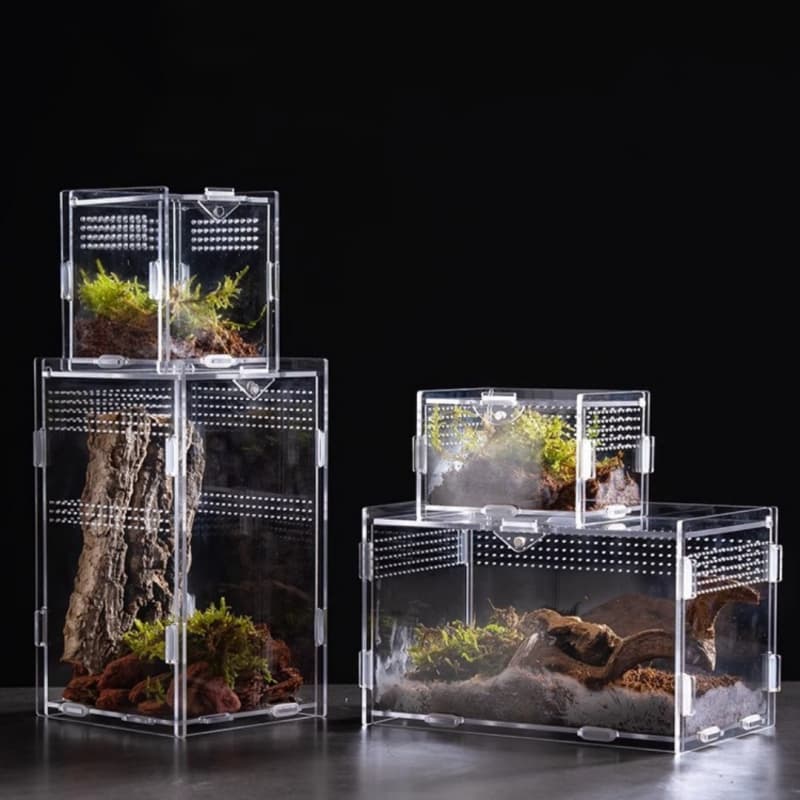 OEM ODM Clear Acrylic Reptile Breeding Box Custom Size Terrarium Enclosure For Spider Tarantula Lizard Gecko