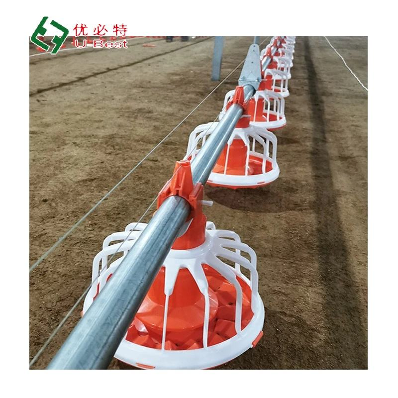 Provide Construction Plan Poultry Shed Farm Building Prefabricated Housing Steel Structure