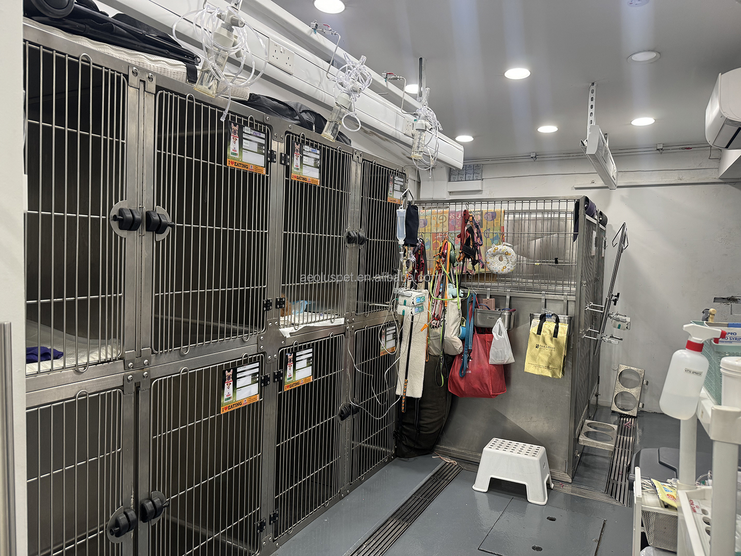 Pet Hospital Product 4