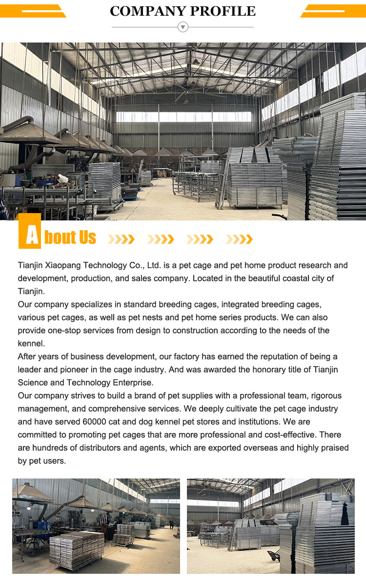 Company Profile Details