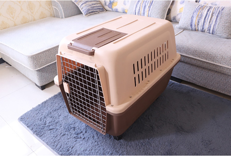Pet Carrier Top Handle View