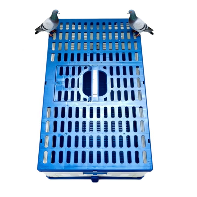 Foldable Plastic Pigeon Flying Cage for Bird Breeding Bird Carrier Portable Transport Crate Racing Pigeon Cage Training Box