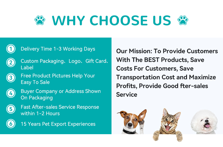 Why Choose Us