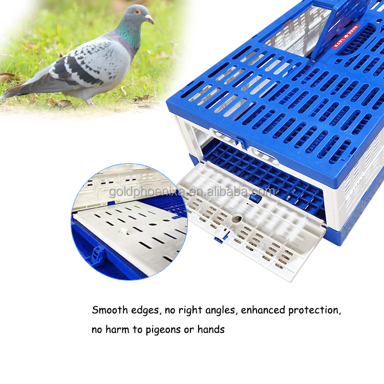 QA Portable Pigeon Transport Crate Foldable Racing Pigeon Cage Training Box for Pigeon