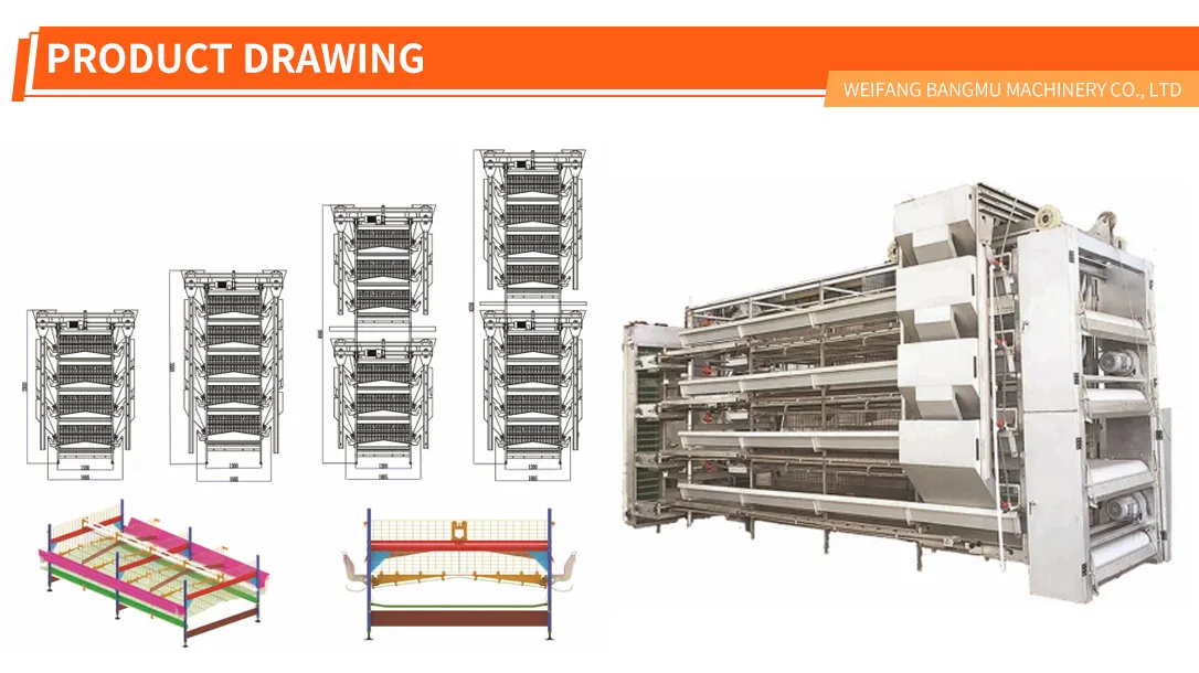 Broiler Cage System View 4
