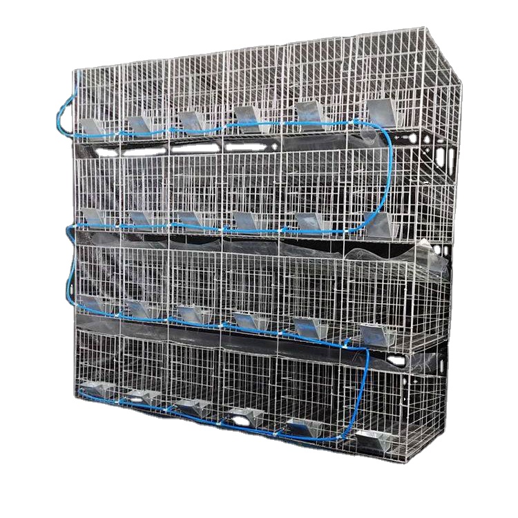 Hot Dip Galvanized Small Animal Cage Breeding Rabbit House with Attached Nest Box New Condition Rabbit Cages on Sale