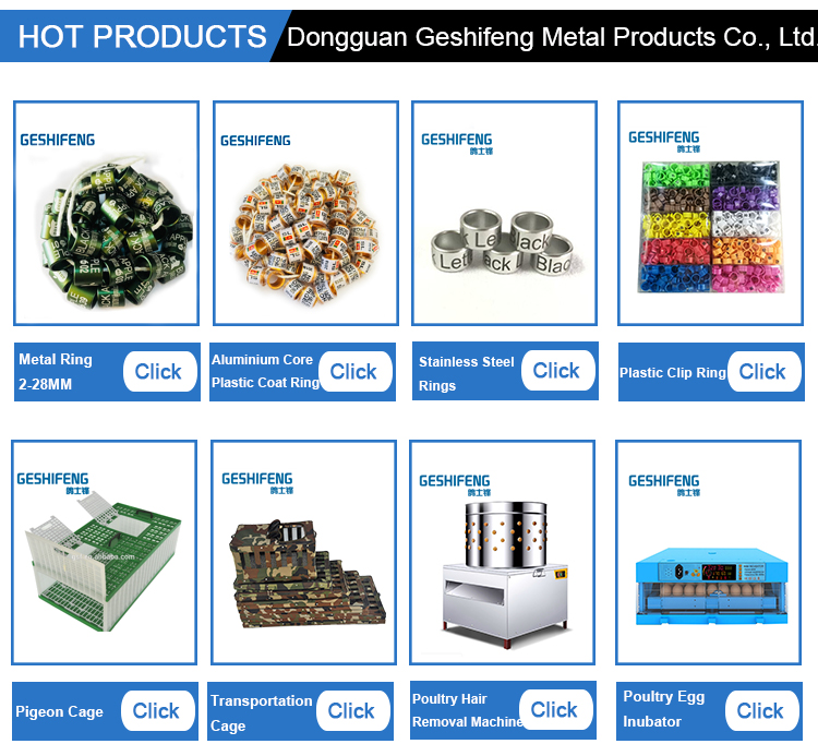 Related Pigeon Supplies