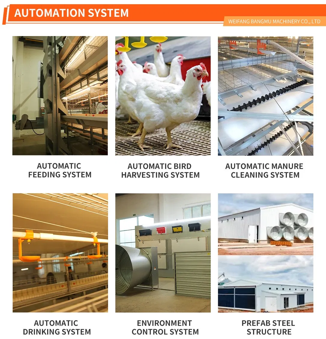 Broiler Cage System View 1