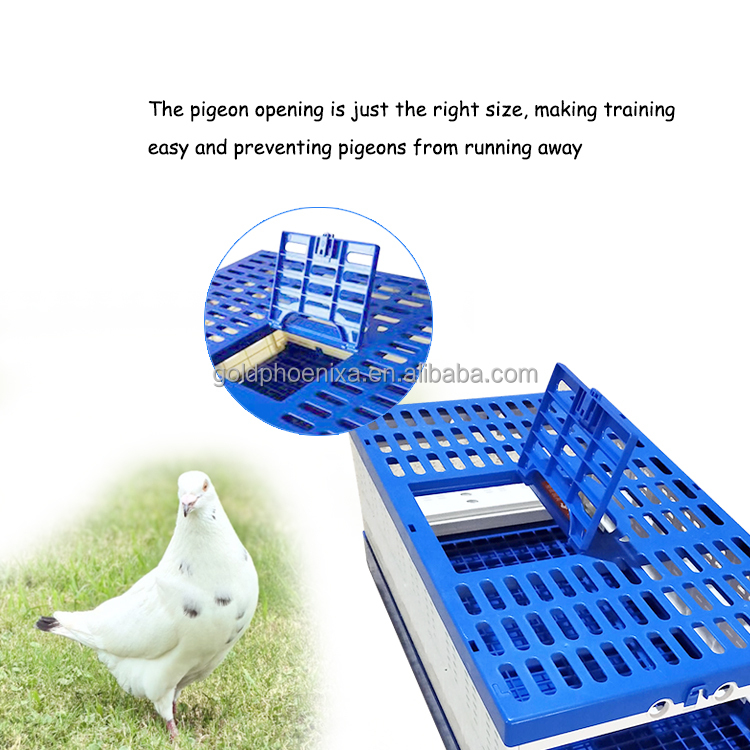 QA Portable Pigeon Transport Crate Foldable Racing Pigeon Cage Training Box for Pigeon