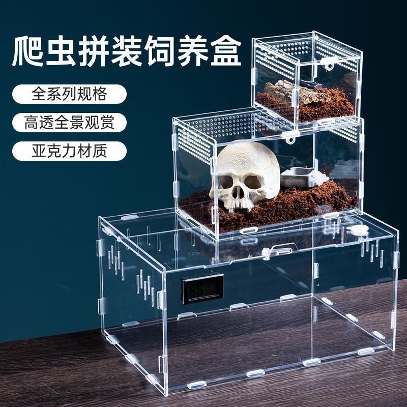 Product Detail 6
