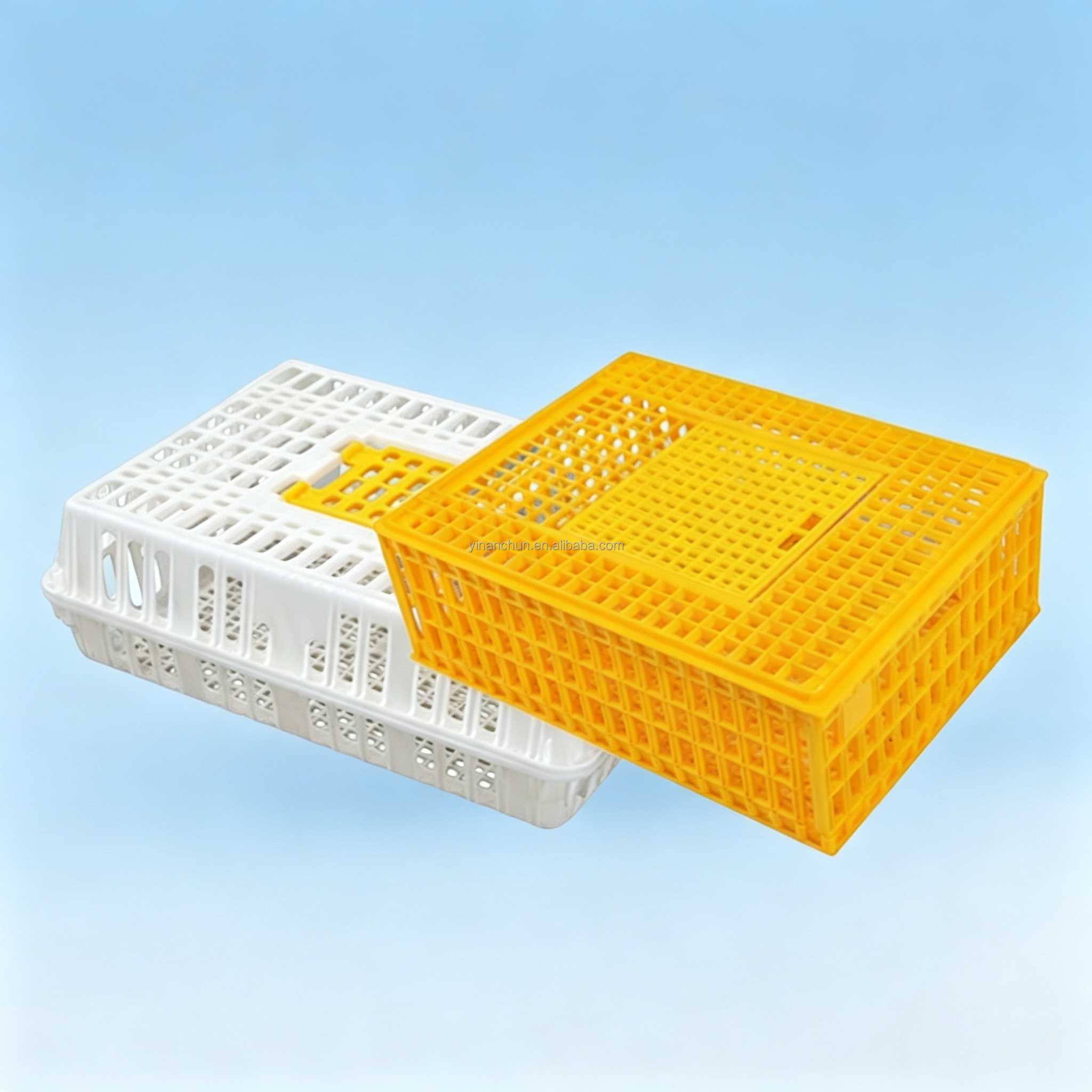 Feature Image 2