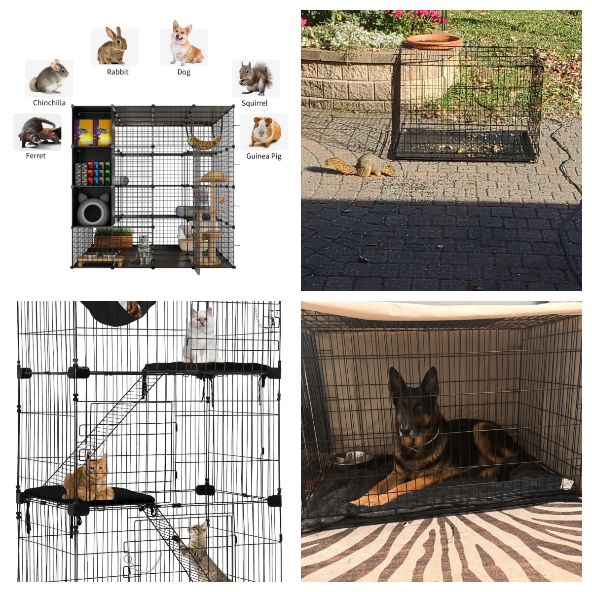 Breeder Birds Parrots Breeding Cage Detail 2