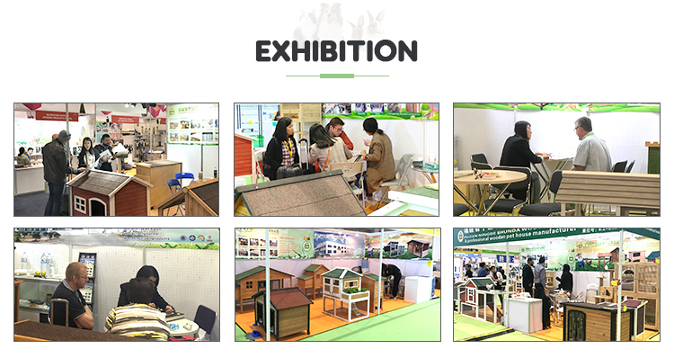 Pet House Presentation 7