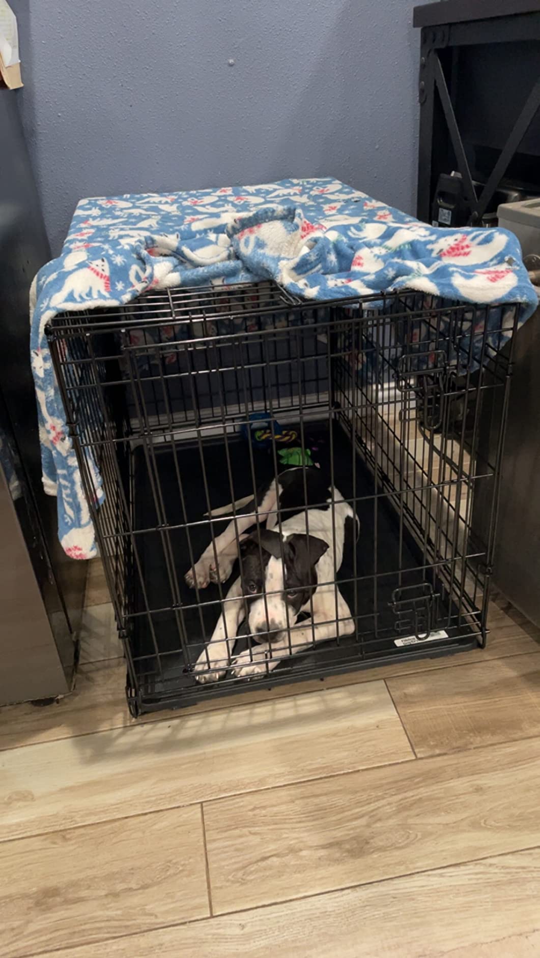 Portable Foldable Luxury Classic Dog Cage for Large Breeds Travel &amp; Indoor/Outdoor Use