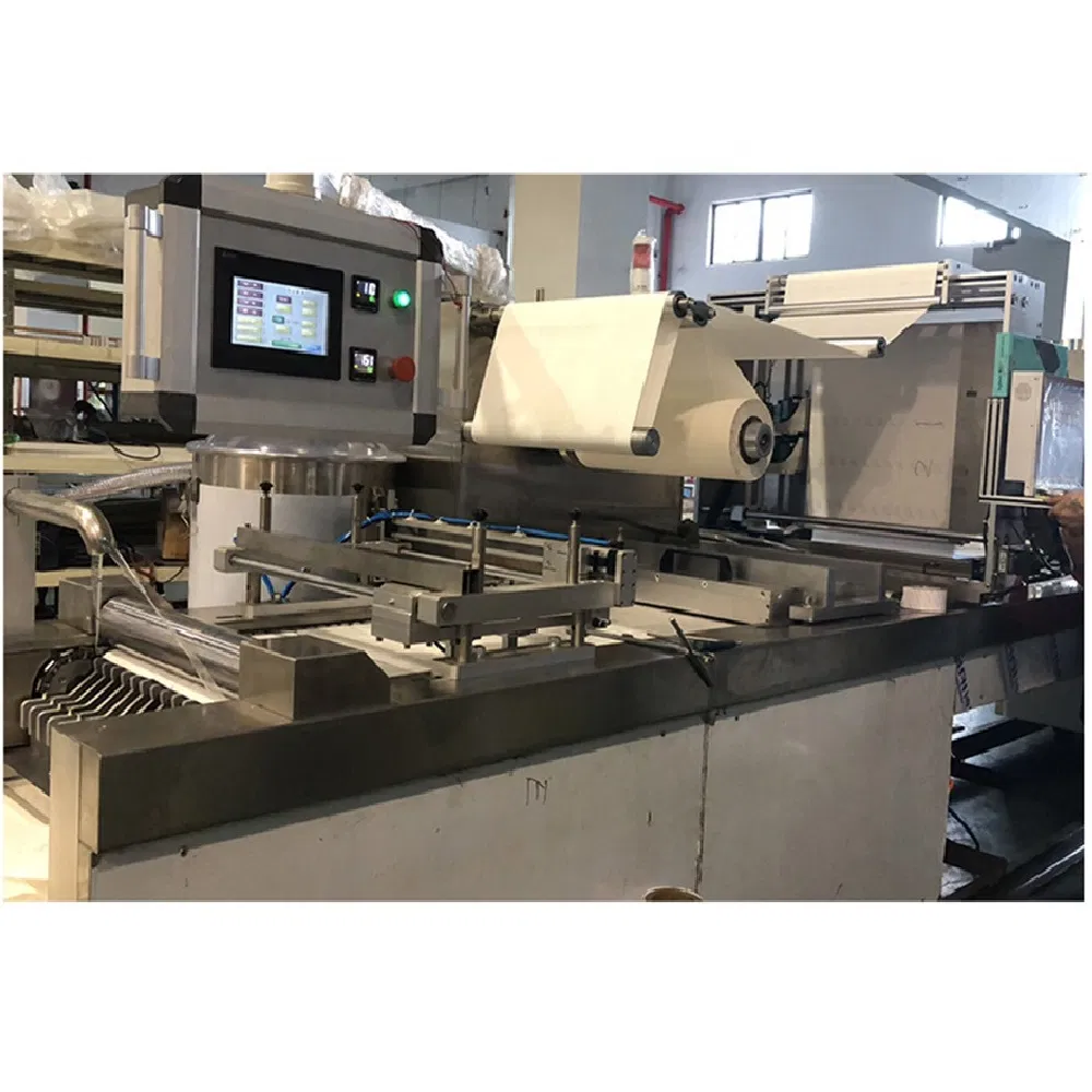 Automatic Syringe/Needle Feeding Device Fast Packaging Speed Blister Packing Machine