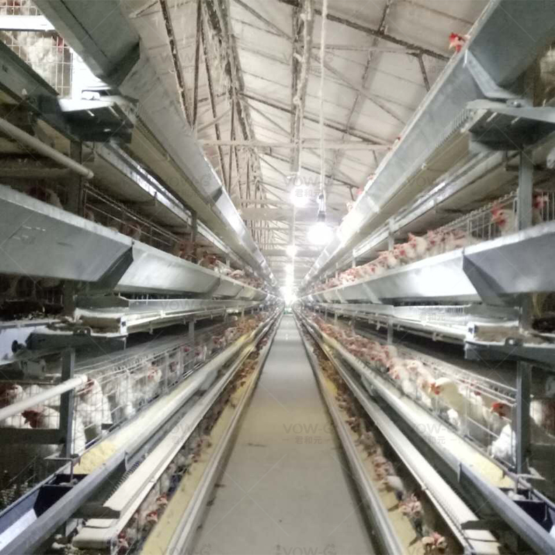 Premium H Frame Chicken Layer Cage with Automatic Feeding System