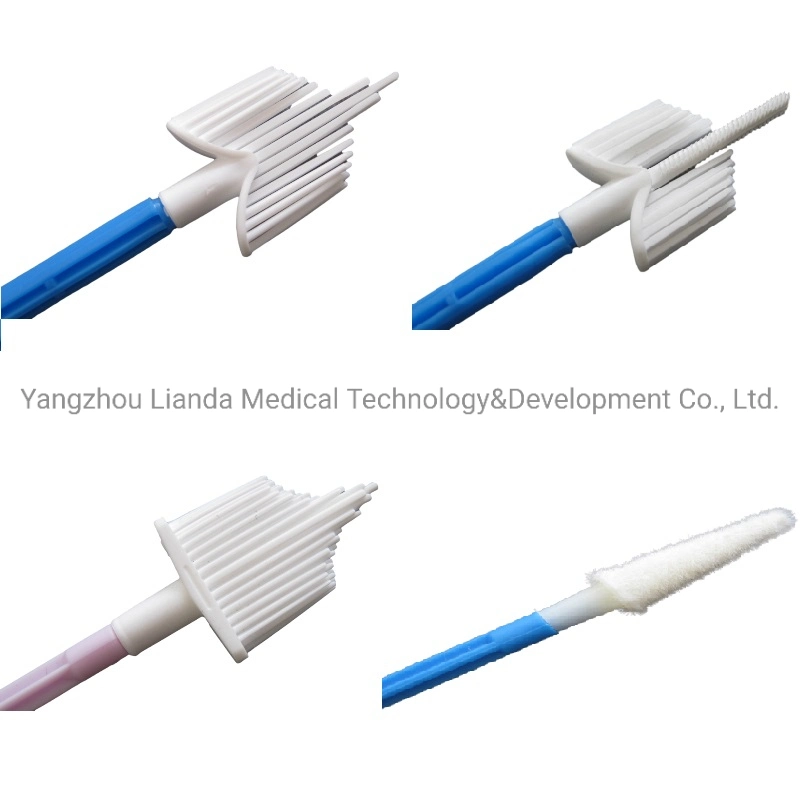 Medical Sampling Collection Cervical Cytology Gynecological Brush