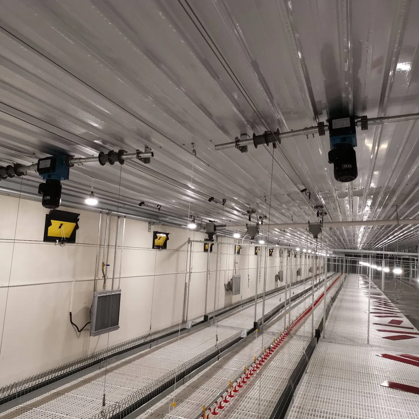 Automatic Chicken Chain Feeding Laying Box Poultry Equipment for Breeder Chicken