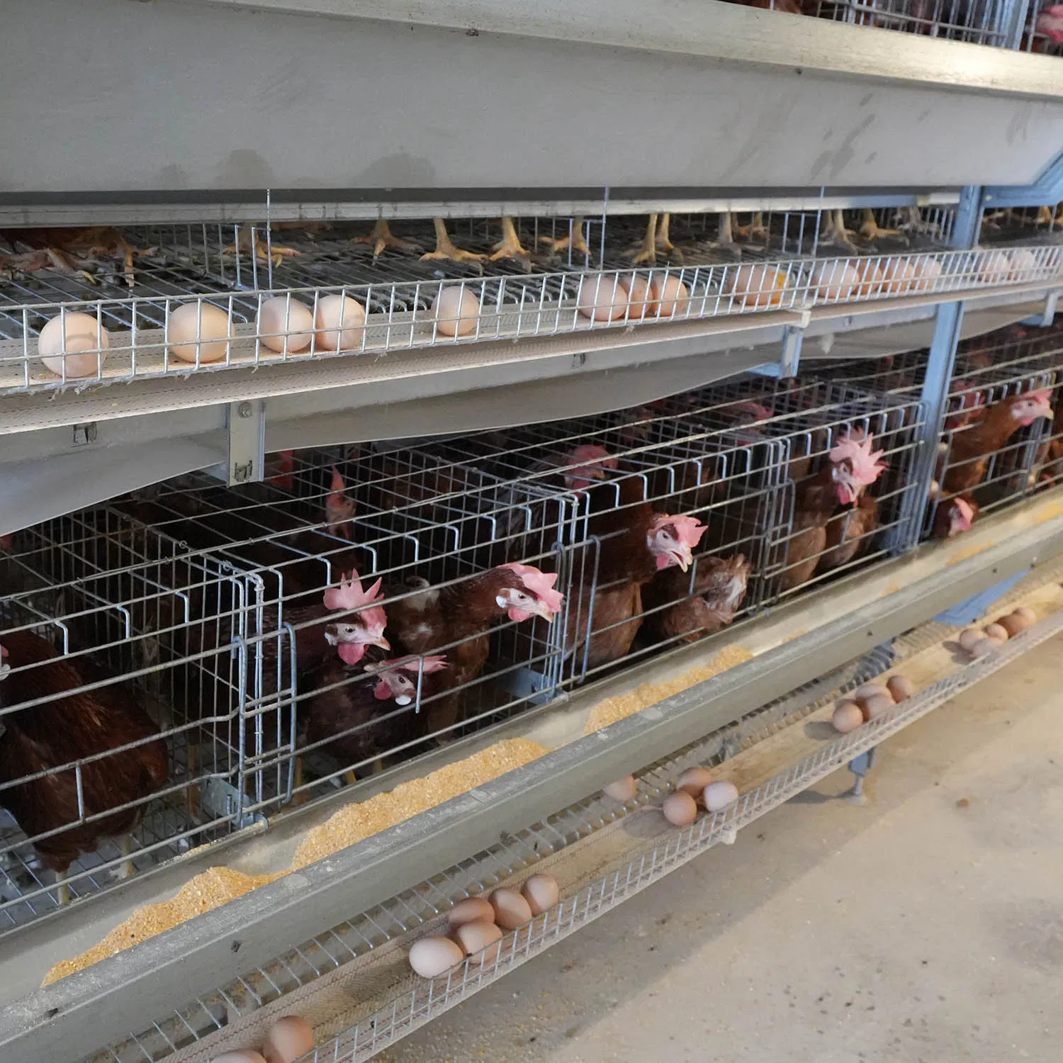 3-8 Layer Galvanized Steel Wire Poultry Equipment Layer Chicken Cage Feeding Equipment
