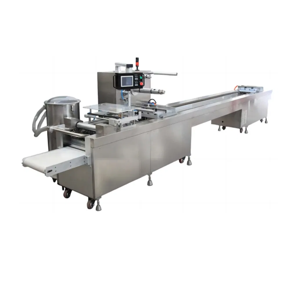 Syringe Blister Packing Machine 2