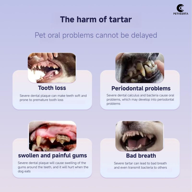 Easy to Use Pet Dental Cleaning Pen for All Breeds and Sizes of Adult Dogs and Cats