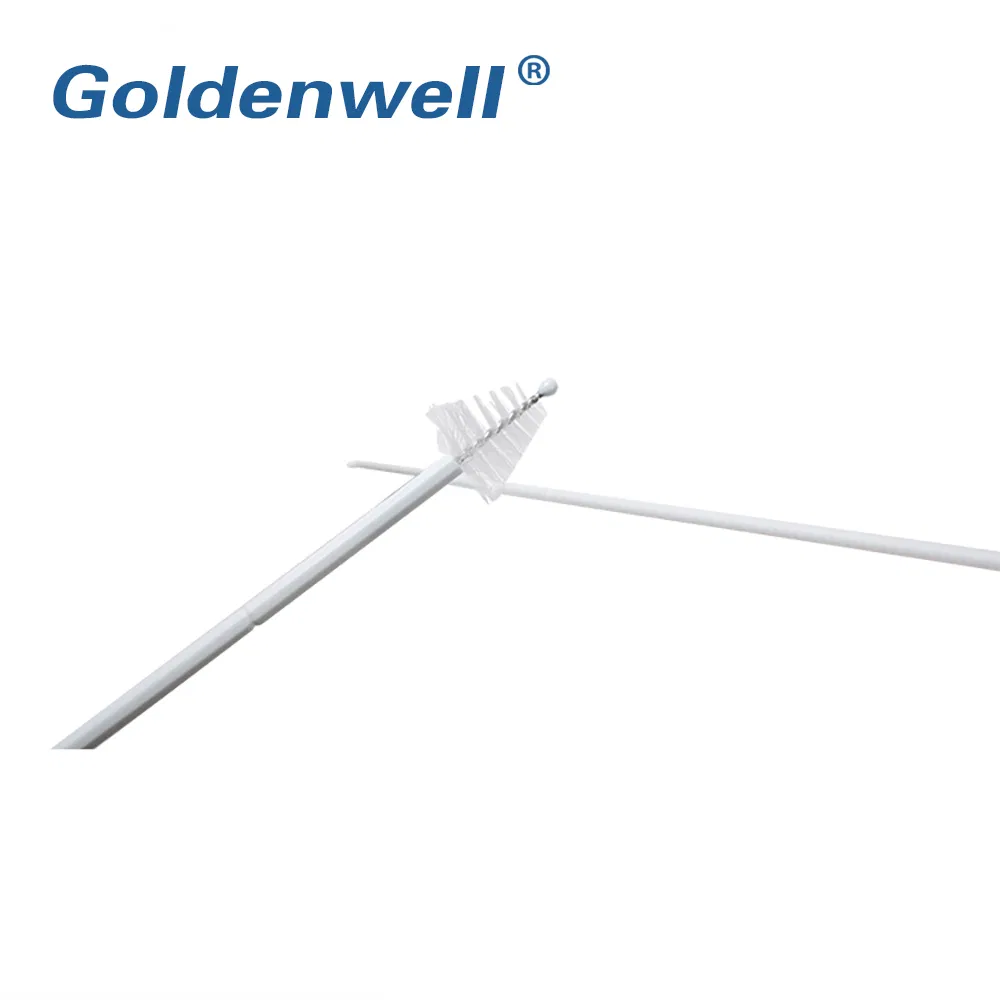 Medical Gynecological Diagnostic Test Swab Cervical Brush for Women Examination