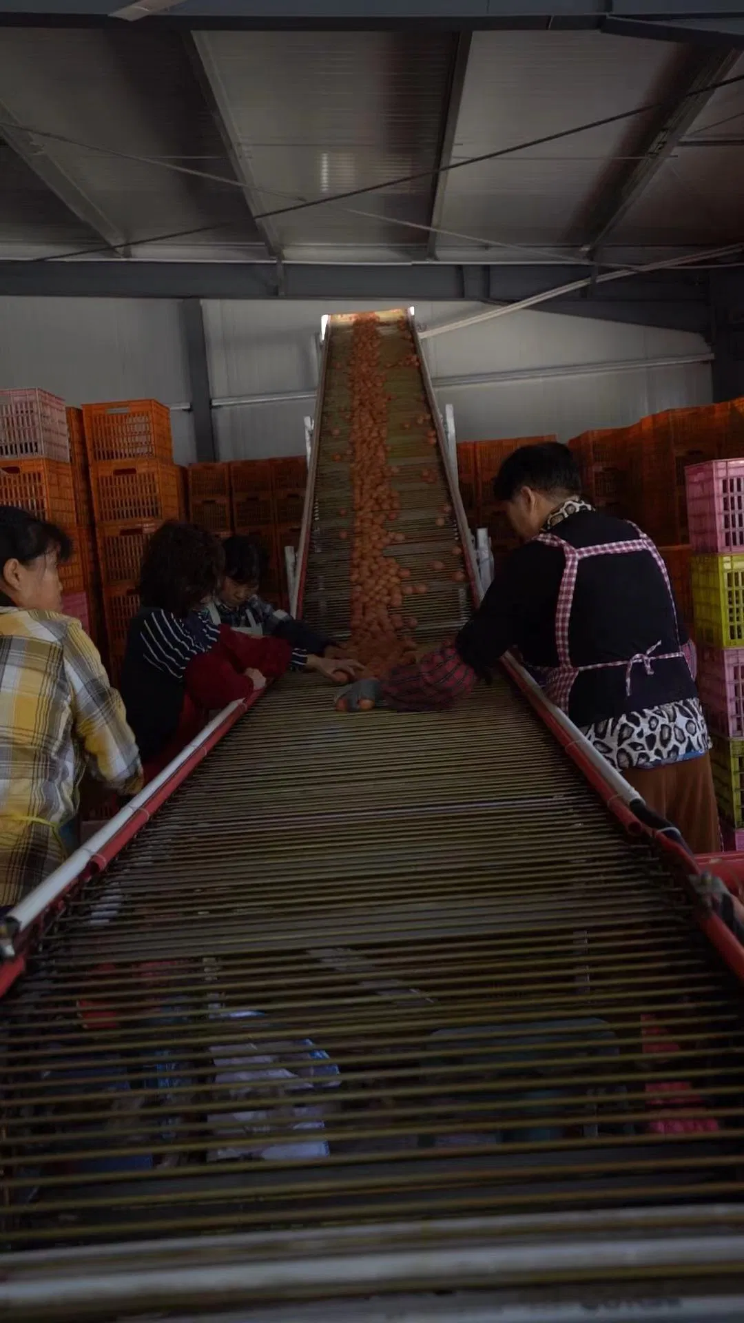 Hot Sale Automatic Egg Laying Feeding System Breeding Battery Poultry Farm Layer Broiler Birds Hen Chicken Cage