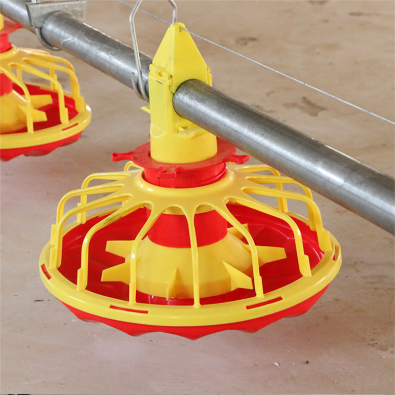 Advanced Large Scale Broiler Floor Breeding System Chicken Feeding for Optimal Growth