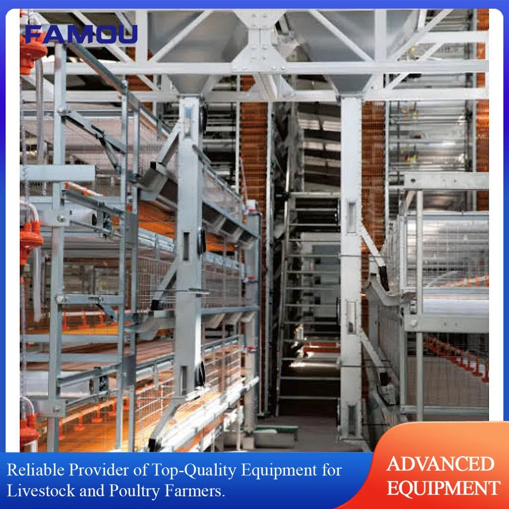 H Ladder Battery Cage with Automatic Bird Harvesting Trolley Feeding Broiler Cage in Poultry Farm