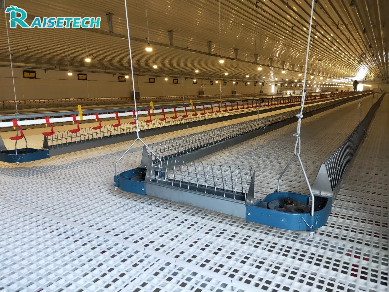 Automatic Chicken Chain Feeding Laying Box Poultry Equipment for Breeder Chicken